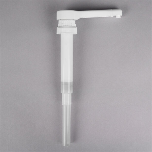 Ebern Designs Choice 1 Oz. (30 Ml) Flavoring Sauce / Condiment Pump For